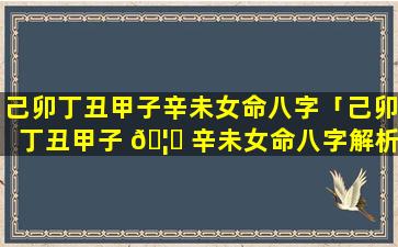 己卯丁丑甲子辛未女命八字「己卯丁丑甲子 🦉 辛未女命八字解析」